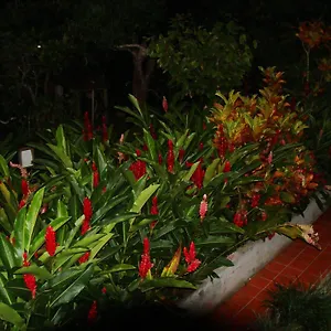 L'ecomusee Creole De La Guadeloupe Appartement Sainte-Rose